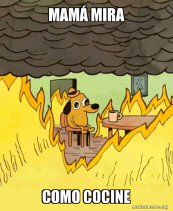 This Is Fine