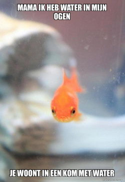 Grumpy Fish