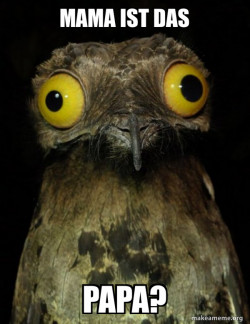 Weird Stuff I do Potoo