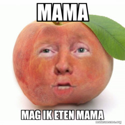 Impeached Donald Trump