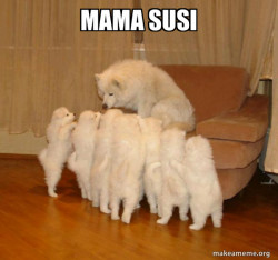 Storytelling Dog