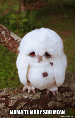 Sad Owl