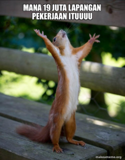 Happy Squirrel