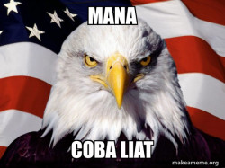 American Pride Eagle
