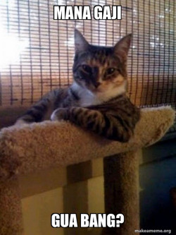 The Most Interesting Cat in the World