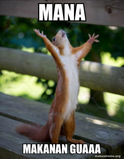 Happy Squirrel