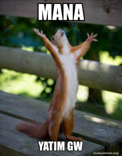 Happy Squirrel