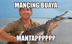 Steve irwin