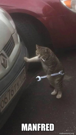 Mechanic Cat