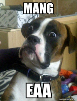 Skeptical Dog