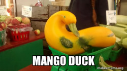 Gourd Advice Mallard