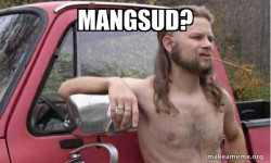 Almost Politically Correct Redneck