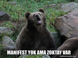 Sarcastic Bear