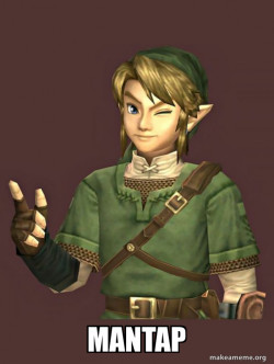 Zelda