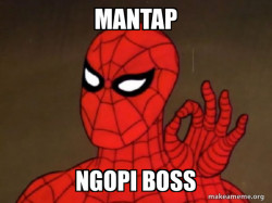Spiderman - Care factor Zero