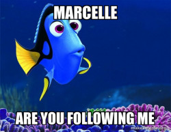 Marcelle