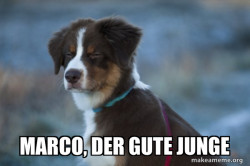 Unsure Dog