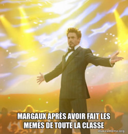 Tony Stark Success