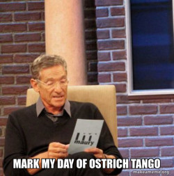 Maury Povich Lie Detector Test