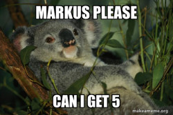 Laid Back Koala