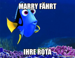 Dory from Nemo  (5 second memory)
