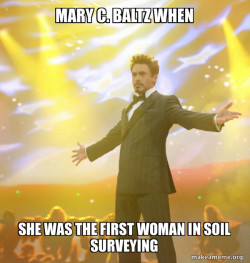 Tony Stark Success
