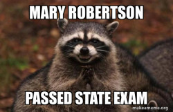 Evil Plotting Raccoon