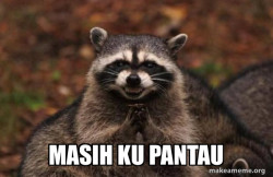 Evil Plotting Raccoon