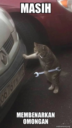 Mechanic Cat