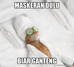 Pampered Cat Meme