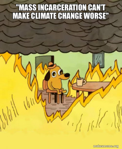 This Is Fine