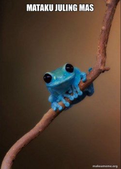 Small Fact Frog