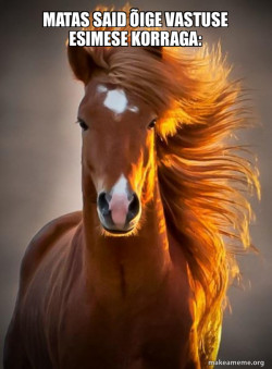 Ridiculously photogenic horse