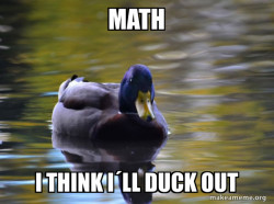 Zen Advice Mallard