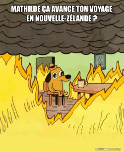 This Is Fine