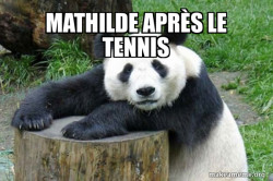 Confession Panda