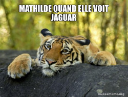 Confession Tiger