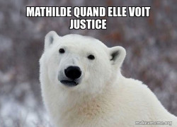 Popular Opinion Polar Bear