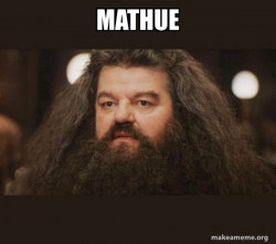 Hagrid - I should not have said that