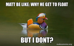 Fashionable Advice Mallard