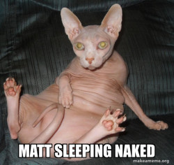 Hairless Cat