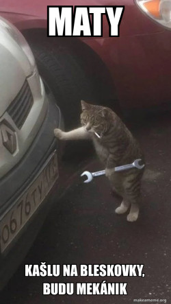 Mechanic Cat