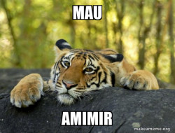 Confession Tiger