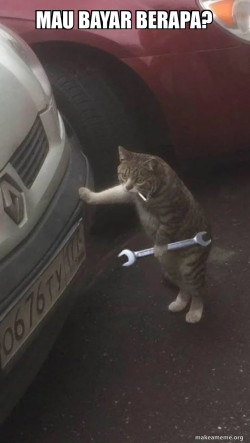 Mechanic Cat