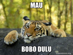 Confession Tiger