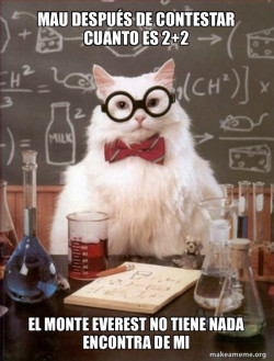 Chemistry Cat