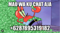 Mr Krabs Money