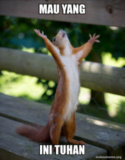 Happy Squirrel