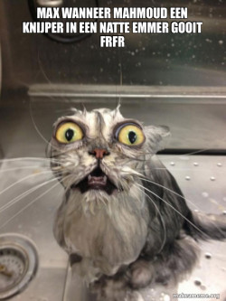 Cat bath