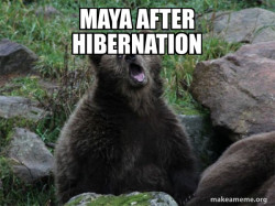 Sarcastic Bear